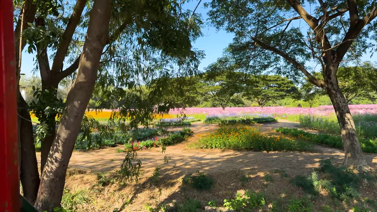 활기찬 꽃 풍경을 보여주는 경치 좋은 트램 여행