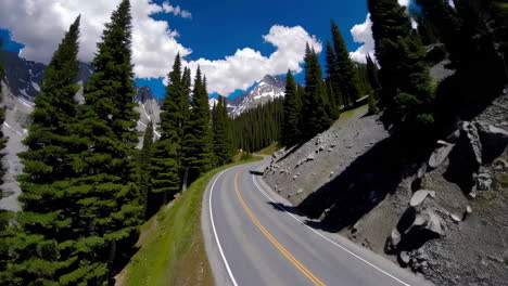 mountain road through pine forest