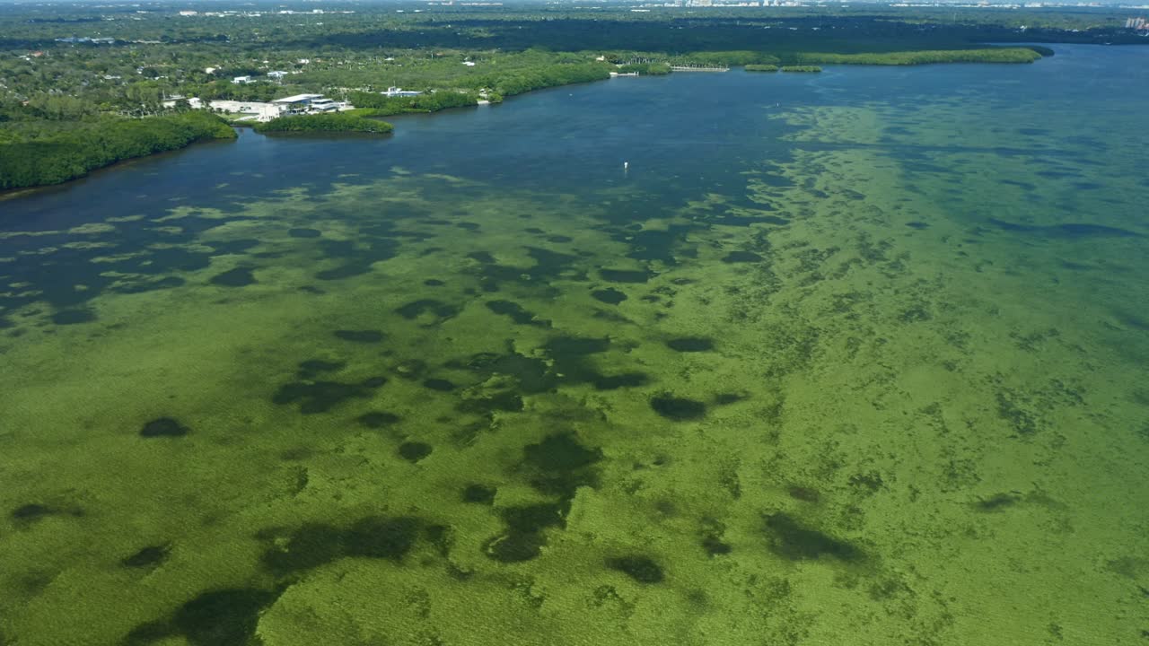 Zona umida costiera caratterizzata da acque basse e limpide con zone scure di alghe marine e vegetazione di mangrovie lungo la costa. In lontananza si scorgono edifici sparsi e una vegetazione lussureggiante alla luce del giorno