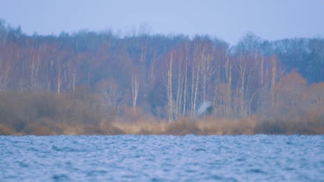 Las-Aguas-Azules-Del-Lago-En-Primavera