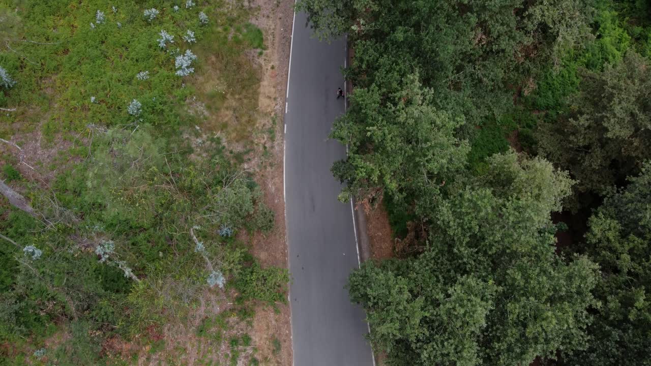 Volo cinematografico in drone 4K su una strada tortuosa che attraversa una fitta foresta di eucalipti in Galizia, Spagna, mostrando gli alberi alti e il lussureggiante paesaggio verde.