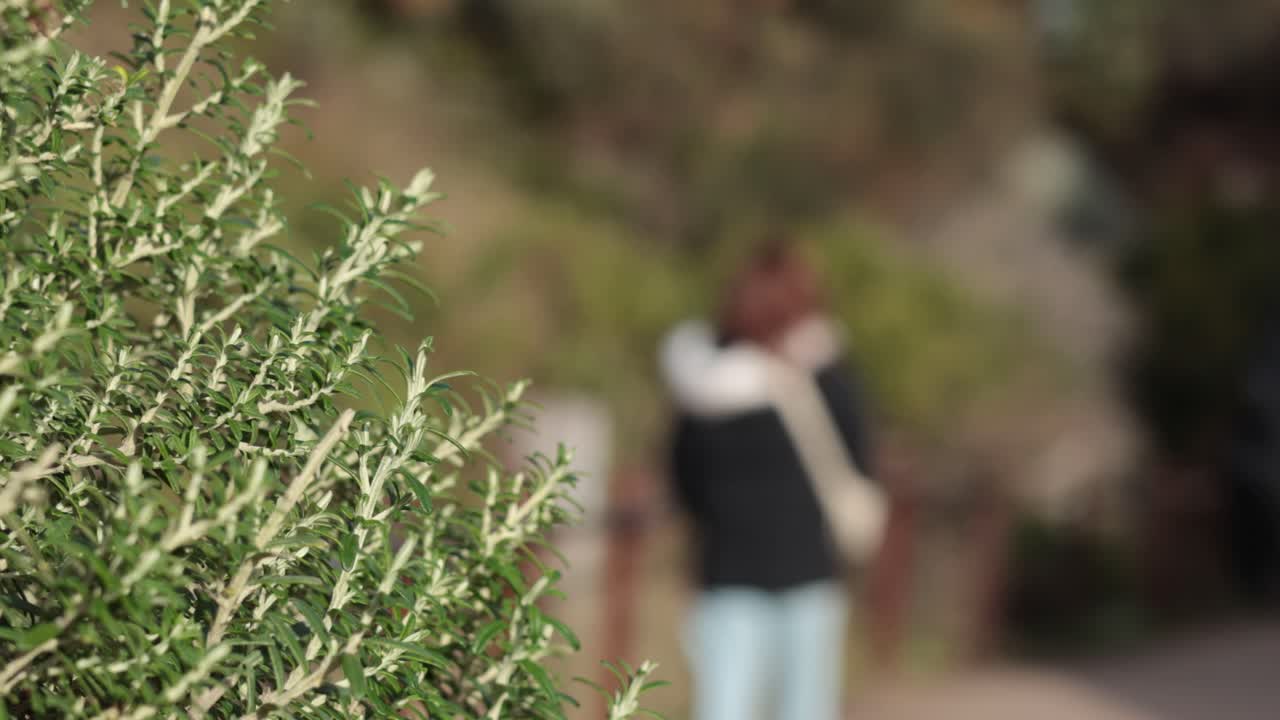 발라라트 의 길 을 따라 고 있는 사람 들