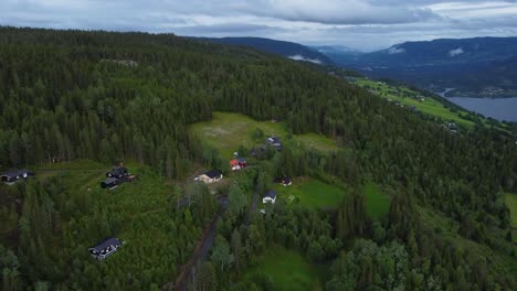 stunnning aerial of houses next to forest and fjord in norway