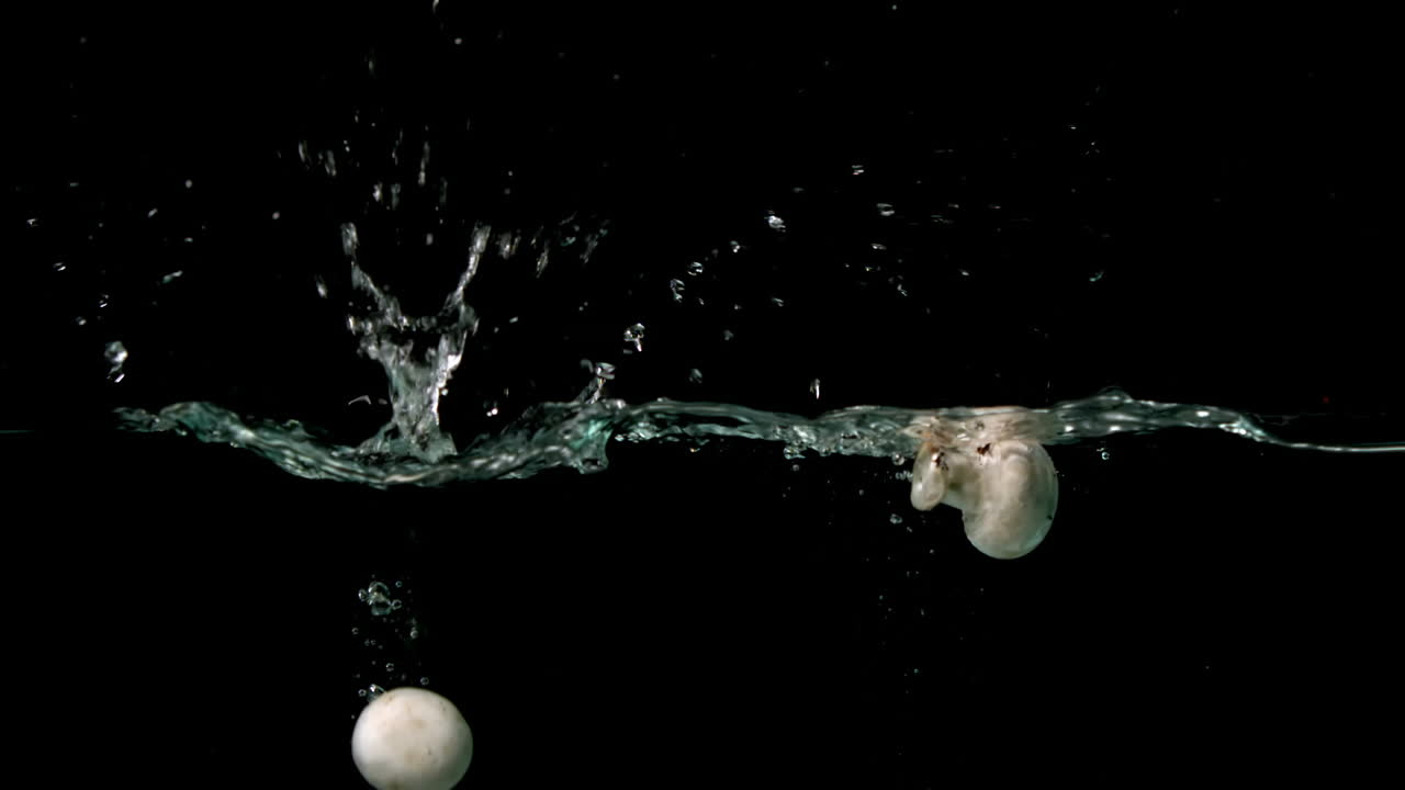 물에 떨어지는 버섯