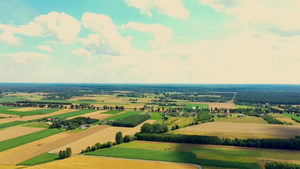 초여름 들판에 있는 다양한 작물의 대각선의 녹색 추상적 이미지, 지상 바로 위의 드론에서 촬영