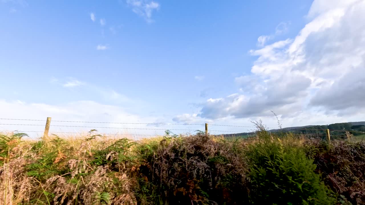 화려한 파란 하늘 아래의 굴곡한 언덕과 열린 을 보여주는 조용한 풍경, 위대한 바다 도로를 따라 포착