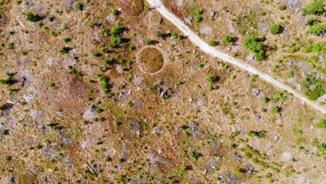 Toma-De-Arriba-Hacia-Abajo-De-Círculos-De-Piedra-En-El-Vasto-Paisaje-En-El-Parque-Nacional-Bory-Tucholskie-Cerca-De-Lesno,-Polonia---Antena