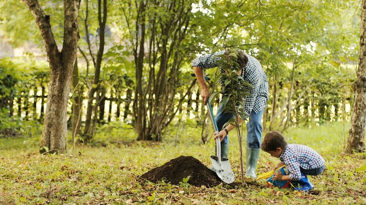 Portrait of a little boy and his dad planting a tree. Together they put the soil on the roots of the tree. Blurred background