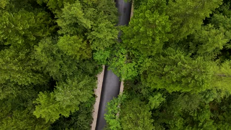 slovenia logarska dolina aerial drone 7.mp4