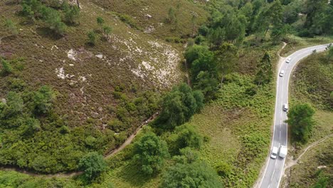 Tourists-on-Horseback-riding-in-Mountain-Forest-Aerial-View