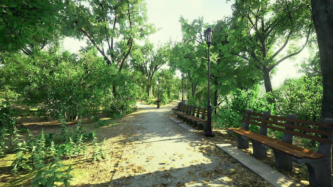 Quiet afternoon stroll through a sunlit park with benches and greenery