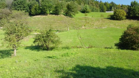 Forward-drone-shot-towards-lush-green-hill-with-trees-in-daytime