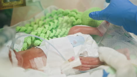 premature baby in neonatal intensive care unit