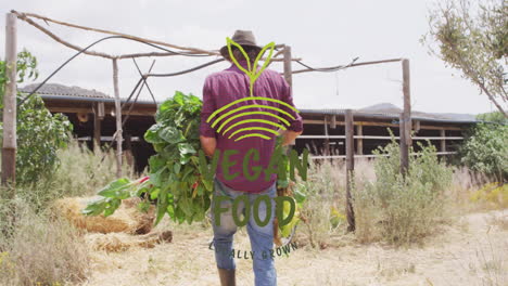 carrying fresh greens, farmer walking towards barn, vegan food locally grown animation over