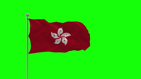 hong kong 3d illustration of the waving flag on a pole with chroma