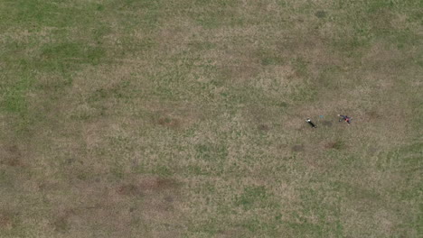 Luftaufnahme-Von-Oben-Nach-Unten-Des-Mannes-Mit-Seinem-Boarder-Collie,-Der-Frisbee-Auf-Der-Wiese-Spielt