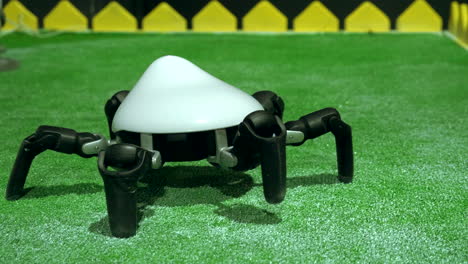 Spider Robot on Green Grass