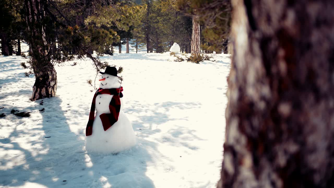 Snowman with scarf and hat in snow covered forest