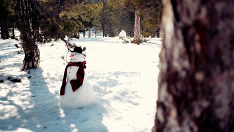 snowman with scarf and hat in snow covered forest
