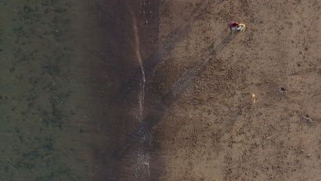 Drone-Shot-Of-Multi-Generation-Family-Walking-With-Pet-Dog-Along-Winter-Beach-Shoreline