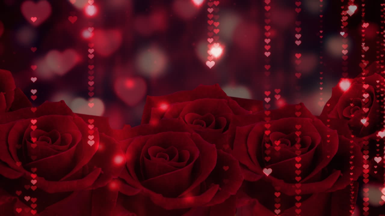 장미 위에 떨어지는 심장 아이콘의 애니메이션