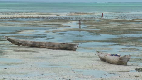 Women-walk-out-into-a-tidal-bay-at-low-tide-with-dugout-boats-in-foreground