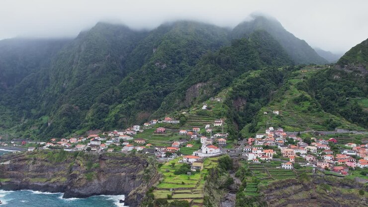 Stunning aerial view of Madeira coastline and terraced hills