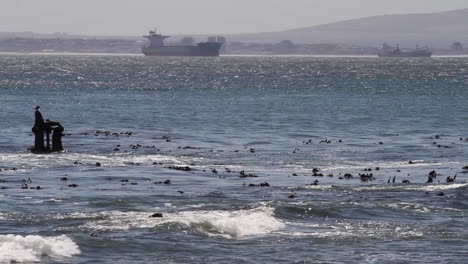 la costa del sur de áfrica