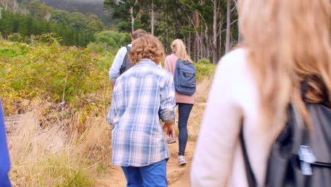 Familia-Multigeneracional-Caminando-Por-El-Campo,-Vista-Posterior