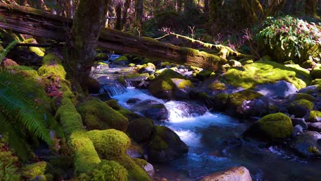 water cascading over moss covered rocks in the forest on a warm spring day, slow motion