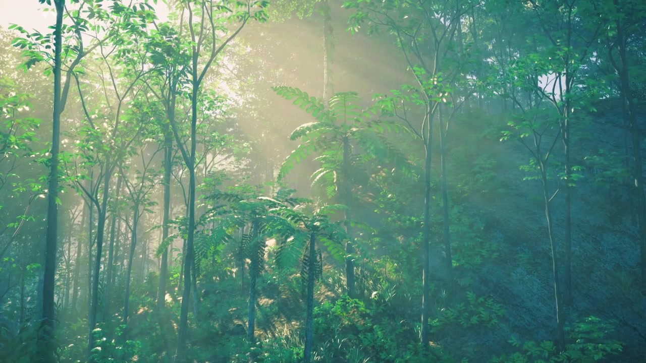 タイの鮮やかな熱帯雨林の林冠を透過する太陽の光