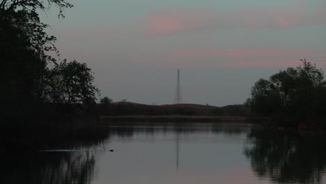 hora del crepúsculo sobre un arroyo mientras un castor nada hacia el centro y golpea el agua con la cola