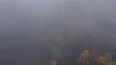 Aerial-view-down-the-hill-above-the-deciduous-forest-in-a-foggy-morning-in-autumn