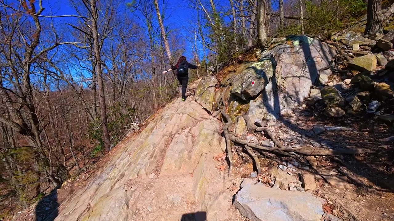 Woman Hiking Uphill on a Rocky Mountain Trail in a Forest