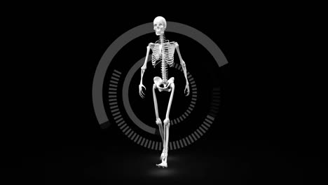 digital skeleton walking against a dark background