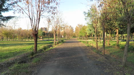 Der-Weg-Ist-Mit-Herbstlichem-Laub-übersät