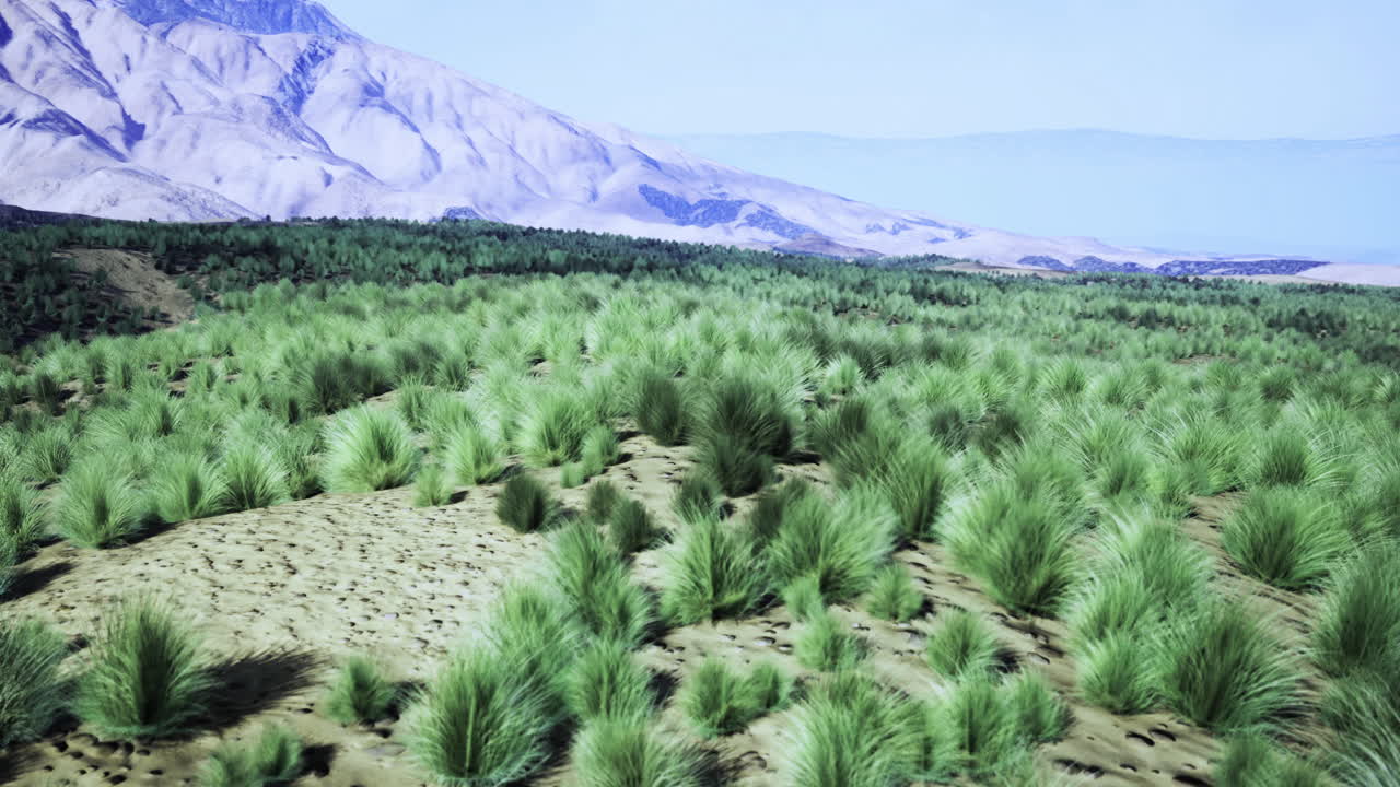 Lush green landscape with mountains in the background at sunrise