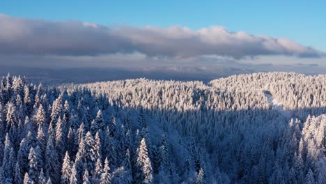 jahorina mountain forest in winter snow, bosnia and herzegovina, 4k aerial view