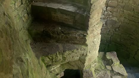 tilt shot capturando los intrincados detalles interiores de las ruinas de la abadía de bective
