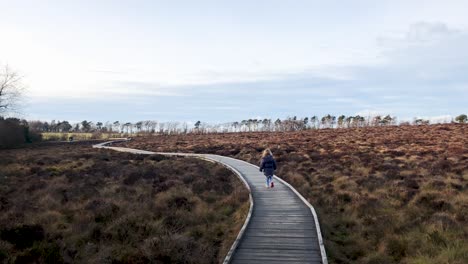 A-young-girl-walking-along-a-boardwalk-in-the-Red-Moss-of-Balerno,-in-the-Pentland-Hills-during-Winter