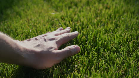 Hand-strokes-evenly-cut-grass-on-the-lawn