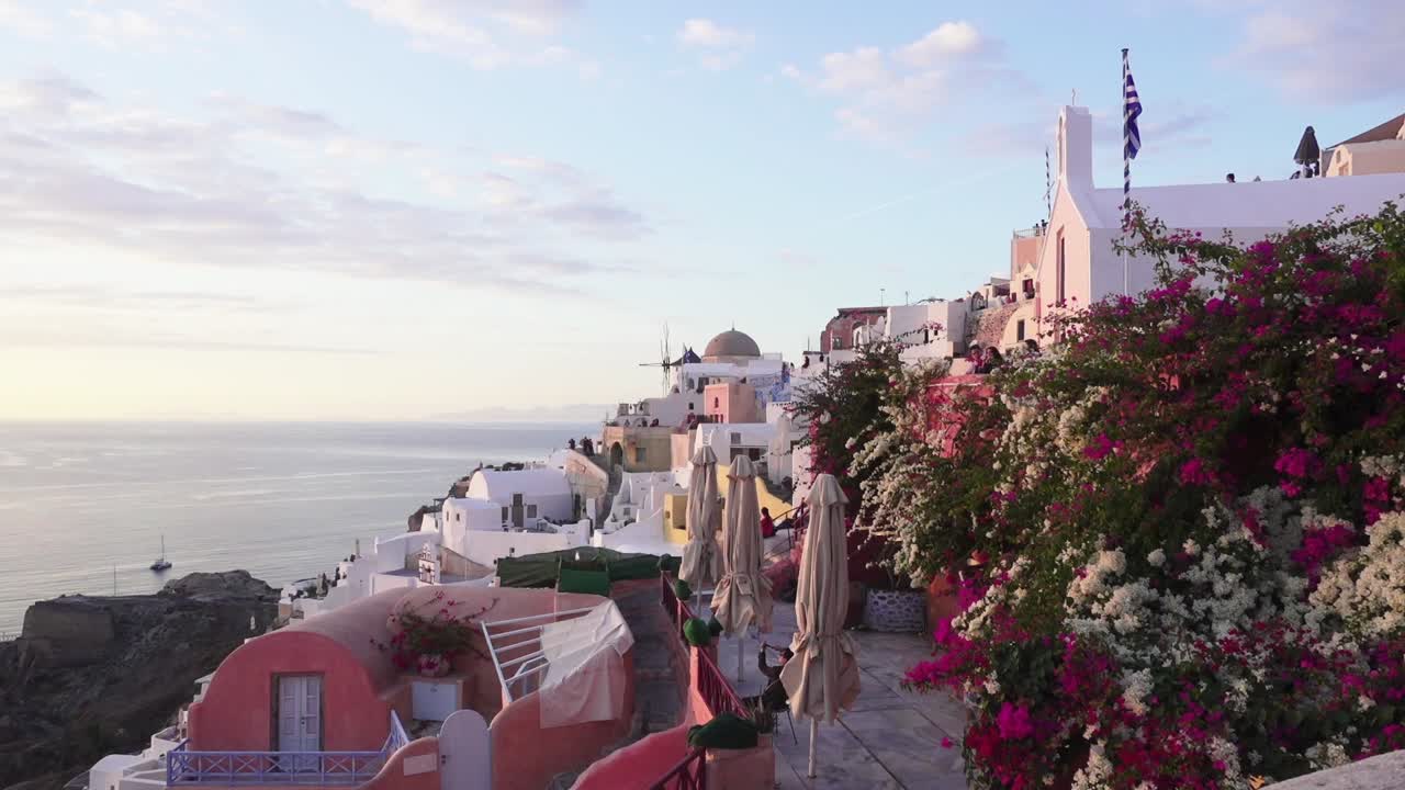 flores rosas y blancas con el paisaje urbano de oia, santorini, al fondo