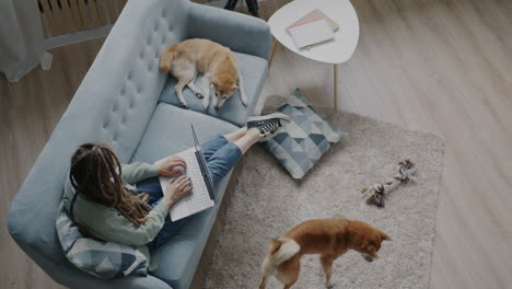 woman working from home with dogs on couch