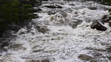 the-kern-river-on-highway-178-lake-isabella-raging-from-extreme-flood-waters-rushing-very-fast-with-lush-greenery