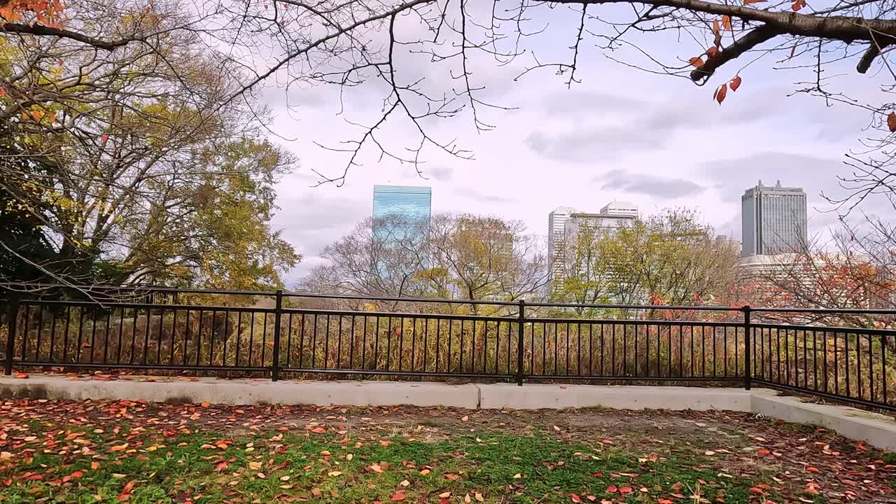 일본 오사카의 스카이라인에 접근하는 가을 나무들