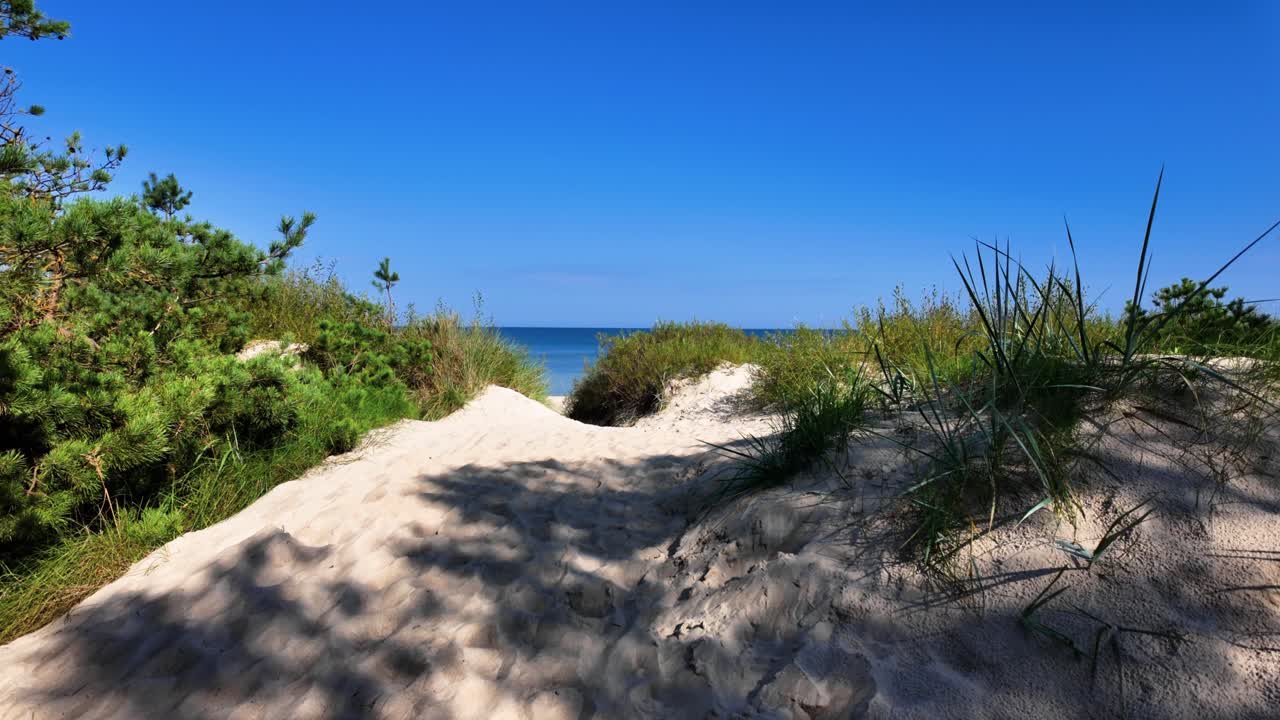Sunny coastal path through sand dunes and greenery leading to a serene beach and clear blue sea under a bright blue sky. Tranquil summer landscape perfect for vacation and relaxation