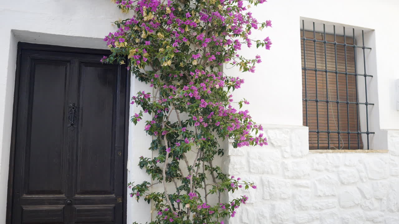 Charming White House with Bougainvillea