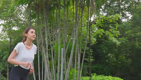 woman jogging in a park