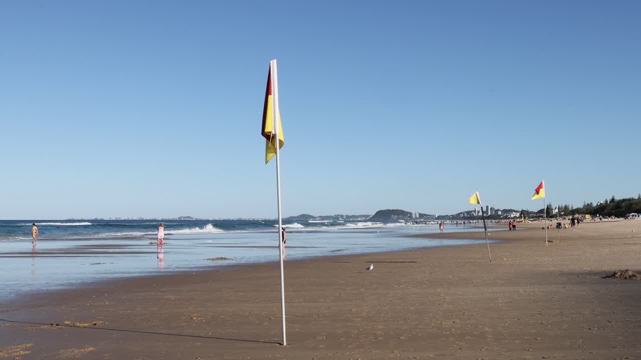 personas disfrutando de un día soleado en la playa cerca del agua