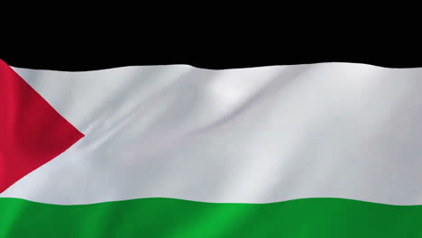 animation of flag of palestine waving